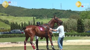 Polo Easter Tournament at Dos Lunas Polo Club – April 2013